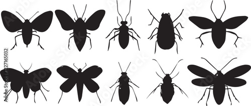 A set of insects silhouettes for flat design. Hand drawn vector illustration