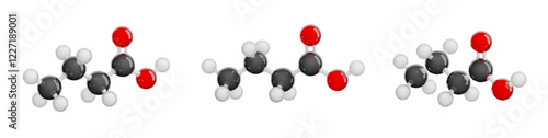 Molecule of Butanoic acid (butyric acid). Set of views. Molecular formula: C4H8O2. Chemical model: Ball and stick. Isolated. White background. 3D illustration photo