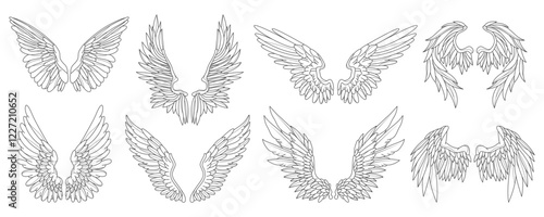 Set of angel or bird wing. Vector feather contour. Medieval or heraldic emblem. Sign for heaven or celestial, divine and spiritual tattoo. Mascot for flight and freedom. Phoenix or eagle, hawk outline