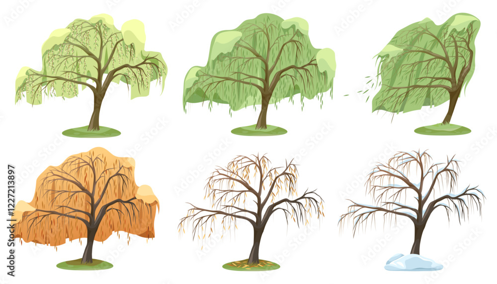 Fototapeta premium Set of vector willow tree types or plant variety. Collection of nature foliage with drooping branch. Forest or wood, autumn wetland. Ecology and environment, botanical life symbol. Biology and botany.