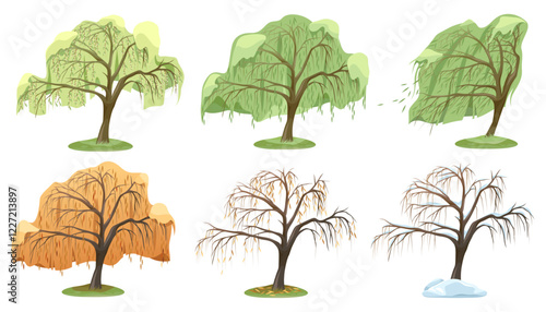 Set of vector willow tree types or plant variety. Collection of nature foliage with drooping branch. Forest or wood, autumn wetland. Ecology and environment, botanical life symbol. Biology and botany.