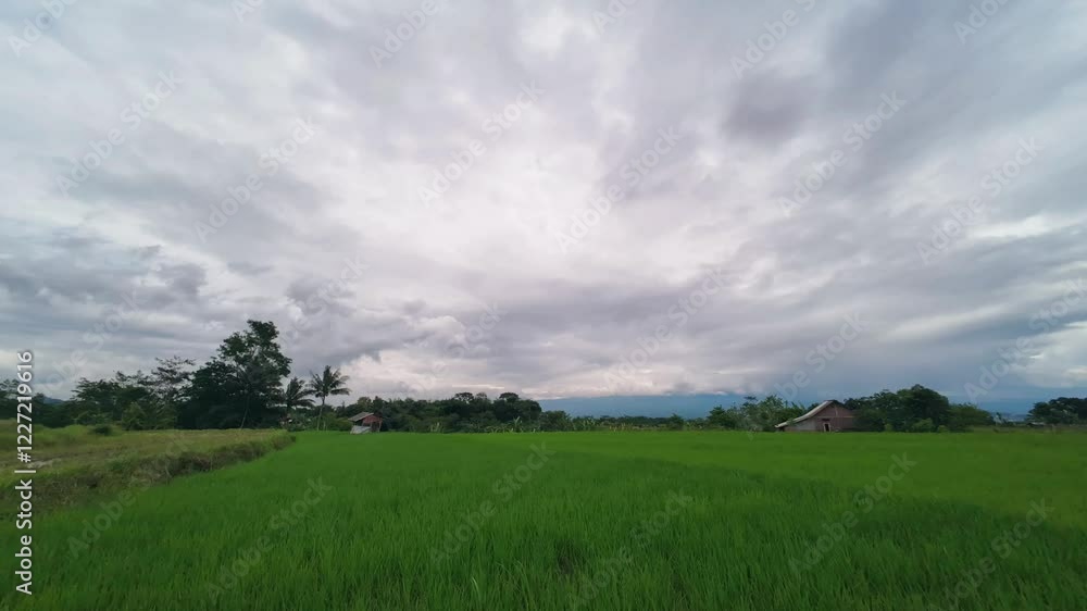 Beautiful view of cloudy sky over rice fields and countryside. 4K 60FPS quality footage Beautiful view of cloudy sky over rice fields and countryside. 4K 60FPS quality footage