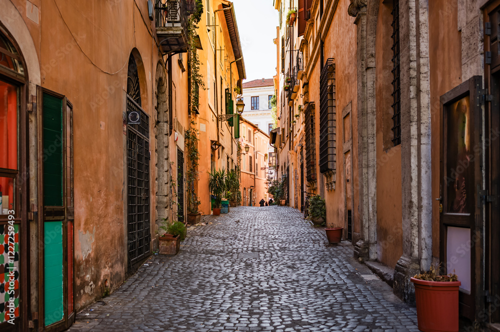 Alley paved with cobblestone in the old town, Rome, Lazio, Italy Alley paved with cobblestone in the old town, Rome, Lazio, Italy