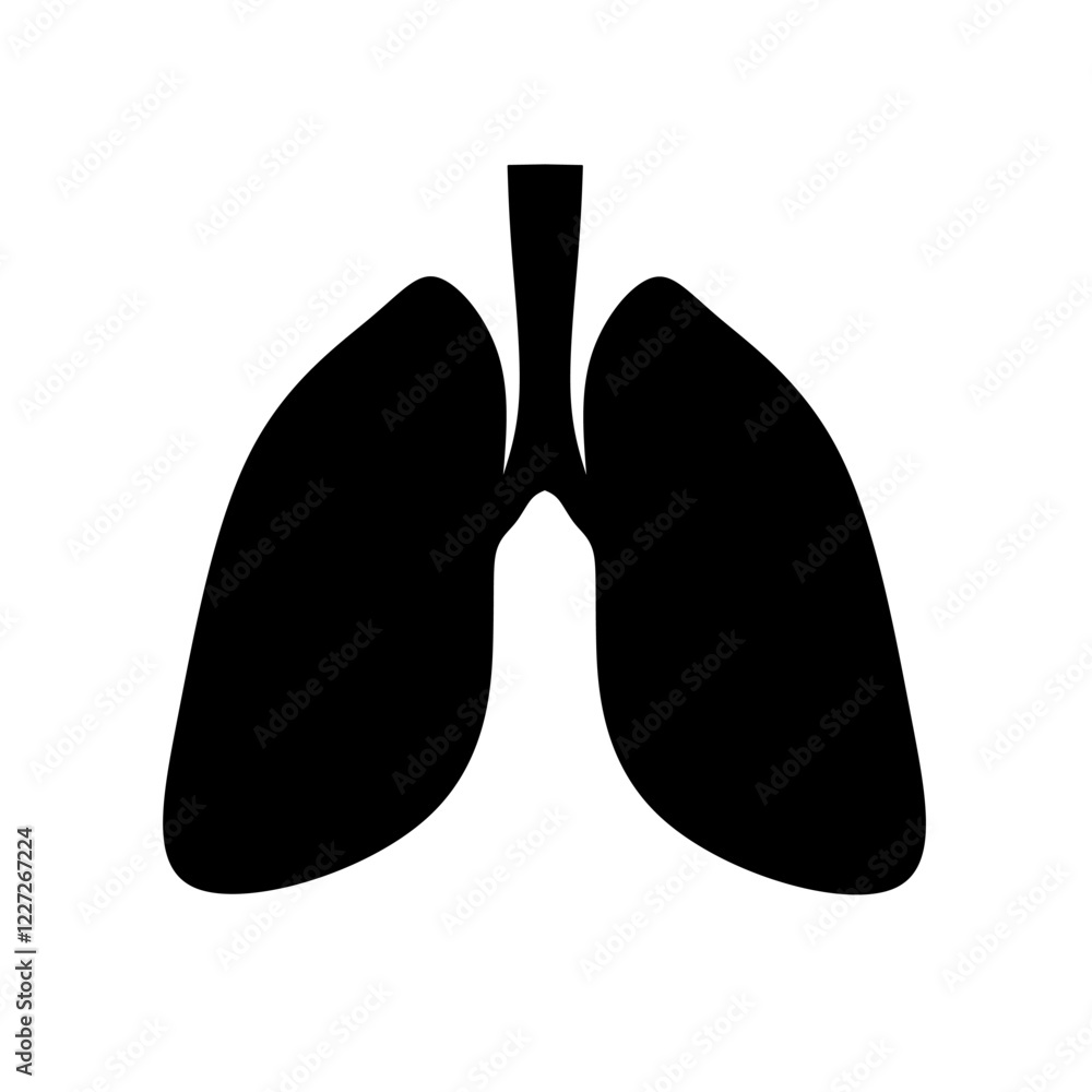 vector illustration of human lungs on a white background vector illustration of human lungs on a white background