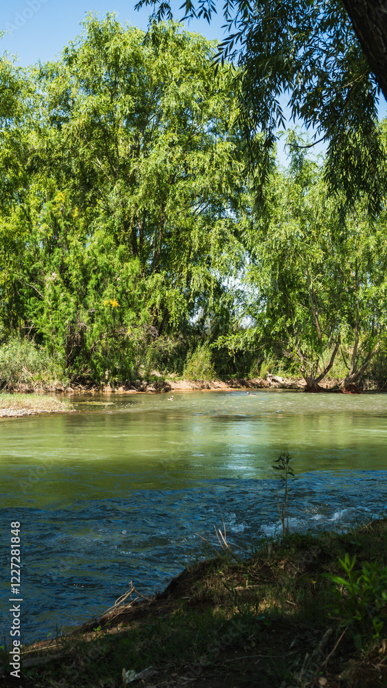A tranquil river winds through a lush, green forest. The water is calm and clear, reflecting the lush vegetation on the banks. Sunlight filters through the trees, casting dappled shadows on the water' A tranquil river winds through a lush, green forest. The water is calm and clear, reflecting the lush vegetation on the banks. Sunlight filters through the trees, casting dappled shadows on the water'