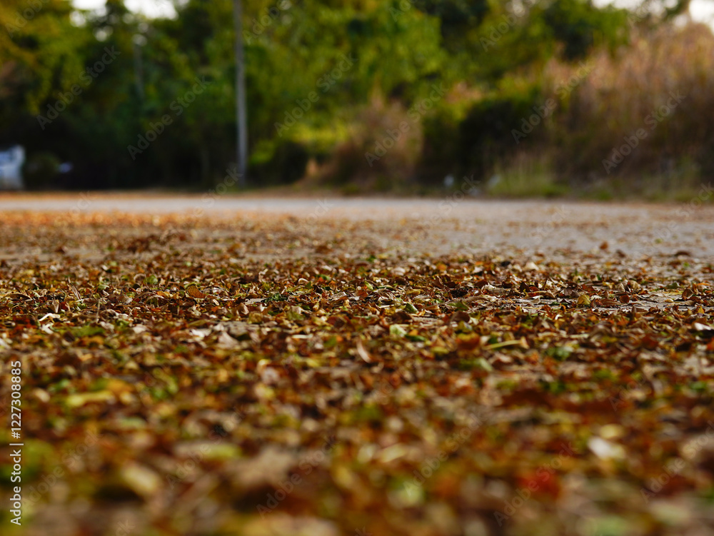Autumn leaves on the ground in the park, shallow depth of field Autumn leaves on the ground in the park, shallow depth of field