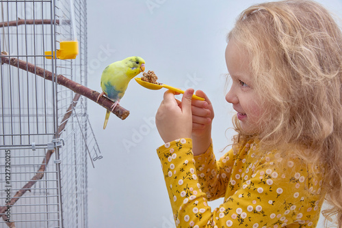 A girl feeds a budgie in a cage. The concept of friendship between children and pets.