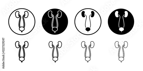 Urinary system icon linear logo isolated