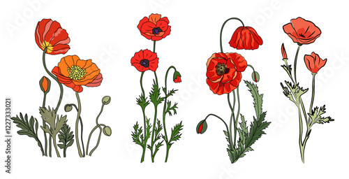 Poppy August birth month flower colorful vector drawing set. Modern minimalist hand drawn design for logo, tattoo, packaging, card, wall art, poster. Colored illustrations isolated on white background