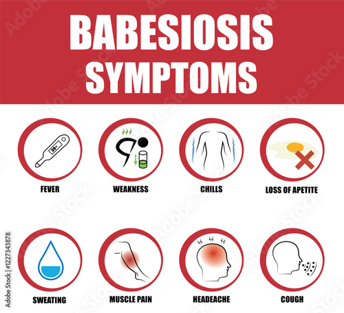 Babesiosis infection symptoms and tick vector causing disease in humans