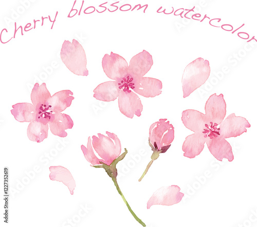 水彩画の桜の花びら　ベクター素材