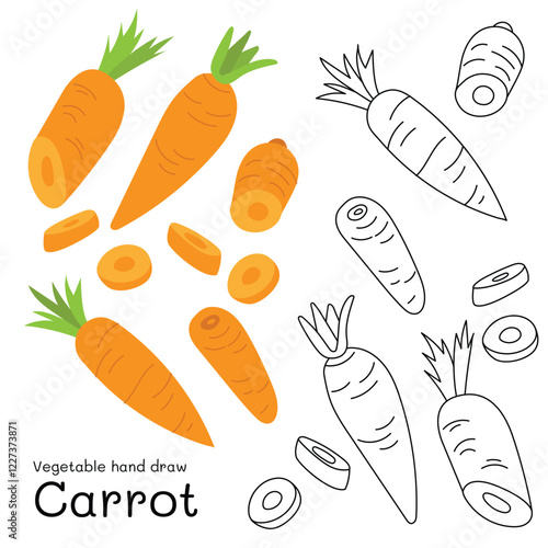 Carrot doodle vegetable hand drawn outline and colors for kid, Package, labels Design element. Vector illustration