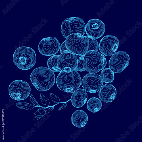 Blue drawing of blueberries. The blueberries are clustered together and the drawing is very detailed