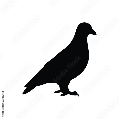 pigeon silhouette isolated on white background