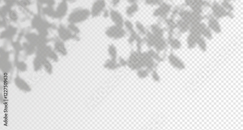 Abstract shadow of leaves and branches on white  wall.Soft overlay of natural light.Tropical blurred leaf.Natural light layout.