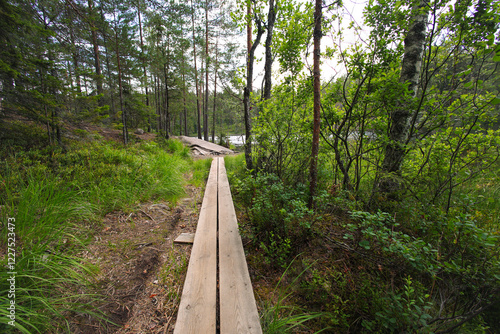 Hiking on Korpinkierros Trail in Nuuksio National Park - Finland photo