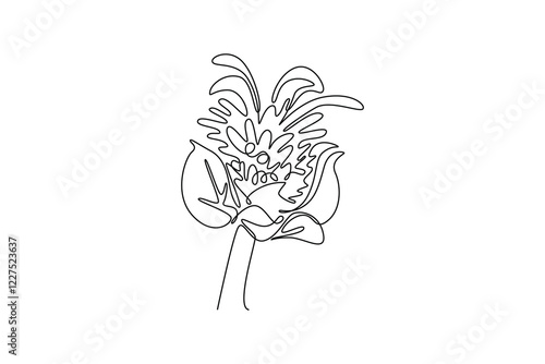 Single one line drawing beauty fresh bergamot monarda for home decor wall art poster print. Decorative bee balm flower for greeting card. Modern continuous line draw design graphic vector illustration