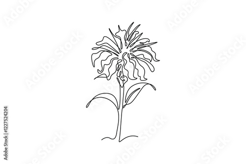 Continuous one line drawing beauty fresh bergamot monarda for home decoration wall art poster. Decorative bee balm flower concept for greeting card. Single line draw design vector graphic illustration