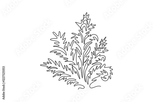 Continuous one line drawing beauty fresh bear's breeches for garden logo icon. Decorative acanthus flower concept for floral invitation card frame. Single line draw design vector graphic illustration