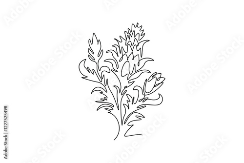 Single continuous line drawing beauty fresh bear's breeches for garden logo icon. Decorative acanthus flower concept for floral invitation card frame. One line draw graphic design vector illustration