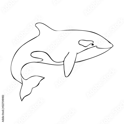 Vector contour of Killer whale or Orcinus orca. Linear Wild inhabitants of the seas and oceans of the Arctic. Hand drawn outline illustration. Undersea mammal animal image in monochrome