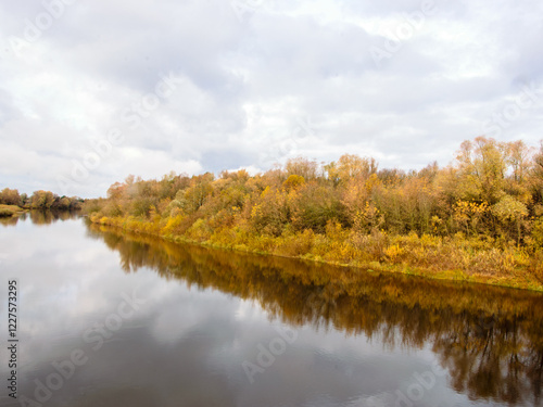 Wallpaper Mural View of a river bank with yellow vegetation on an autumn day. Torontodigital.ca