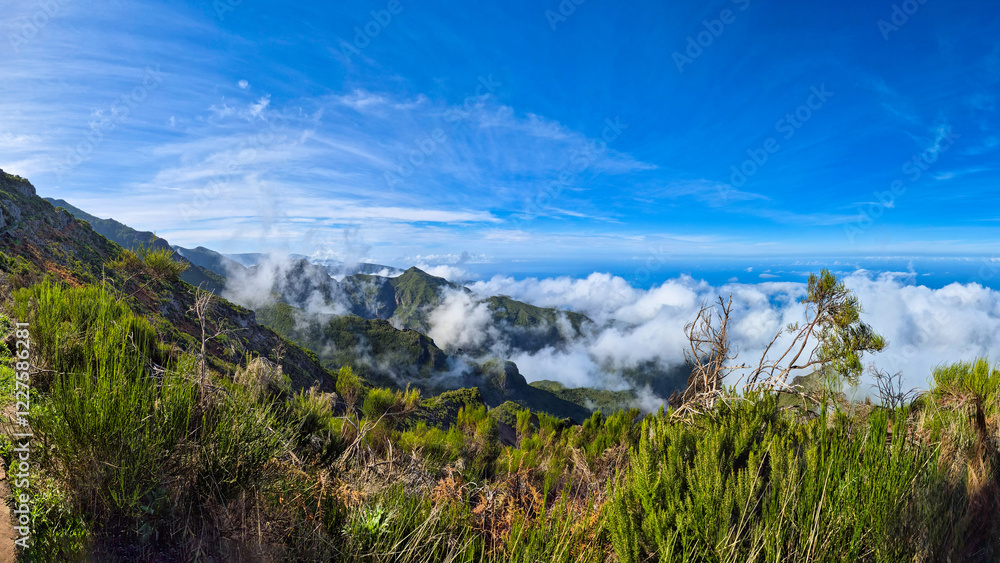 Fototapeta premium A stunning panoramic view from Verada do Pico Ruivo, Madeira, where lush green mountains meet a sea of clouds. The bright blue sky and dramatic mist create a breathtaking natural landscape.