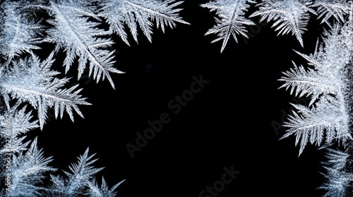 Wallpaper Mural Snow ice frost pattern over black background. Torontodigital.ca