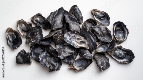 Raw black sea mollusks and hard-shelled oysters arranged in flat lay on a clean white background showcasing their natural textures and colors. photo