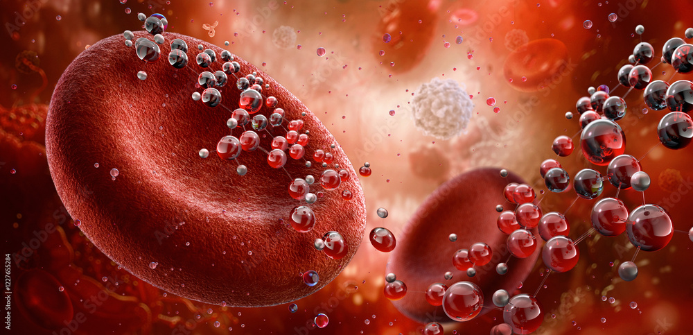 Erythrocyte 3D illustration. Red blood cells transport oxygen throughout the bloodstream, with hemoglobin within each cell binding to o2 molecules. Oxygen delivery to tissues, carbon dioxide removal Erythrocyte 3D illustration. Red blood cells transport oxygen throughout the bloodstream, with hemoglobin within each cell binding to o2 molecules. Oxygen delivery to tissues, carbon dioxide removal