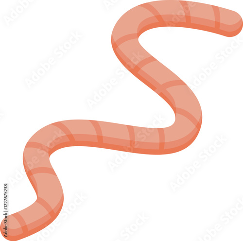 Pink earthworm crawling on white background, forming an s shape