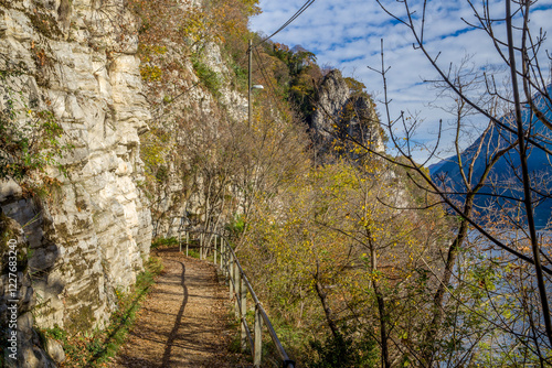 Amazing sportive OLIVE trail in Lugano suburb