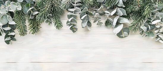 winter christmas themed banner backgrounds border greenery frame fir tree twigs frosted eucalyptus leaves white wooden board copy space for text