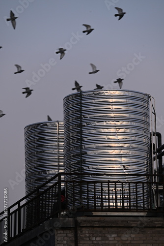 tanks against seagulls in the sky
