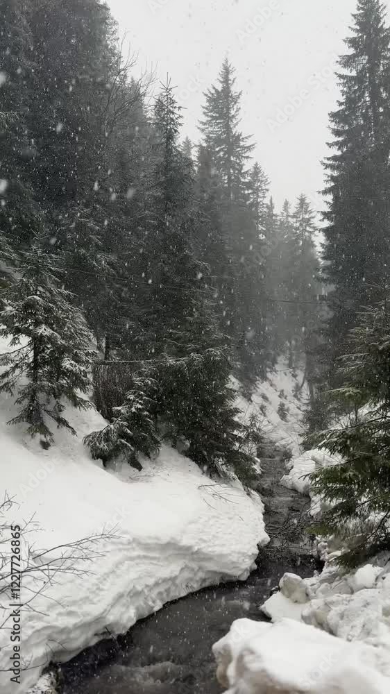 4K vertical video showing a snow-covered winter forest with pine trees, a flowing stream, and a snowy road. The camera moves through the landscape as snow falls, capturing the serene beauty of nature. 4K vertical video showing a snow-covered winter forest with pine trees, a flowing stream, and a snowy road. The camera moves through the landscape as snow falls, capturing the serene beauty of nature.
