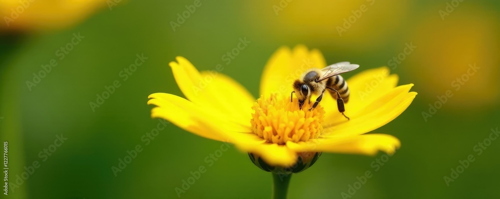 Small bee lands on bright yellow flower with a green stem, looking up, flowers, closeup Small bee lands on bright yellow flower with a green stem, looking up, flowers, closeup