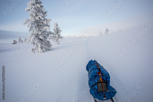 Ski expedition in Pallas Yllastunturi National Park , Lapland, Finland photo