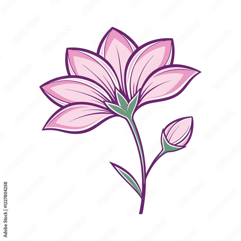 Fototapeta premium pink lily isolated on white background