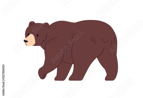 Brown bear walking away, view from back, behind. Wild animal, forest fauna, mammal. Carnivore, predator. Big strong carnivorous beast going. Flat vector illustration isolated on white background