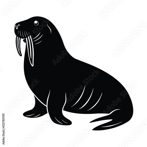 sea lion on the beach