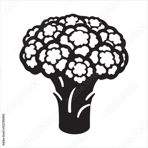 Minimalist Cauliflower silhouette on white background
