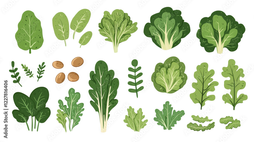 Fresh organic greens including spinach, kale, and arugula in various shapes and sizes, perfect for healthy meals Fresh organic greens including spinach, kale, and arugula in various shapes and sizes, perfect for healthy meals
