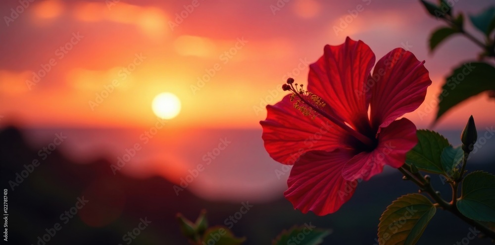 Fototapeta premium hibiscus flower silhouette against sunset, sunset, tropical