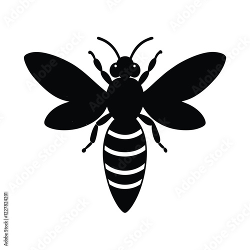 black and white wasp