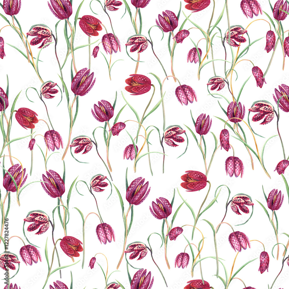 Obraz premium Fritillary, Easter spring pink flowers seamless pattern. Stock illustration. Hand painted in watercolor.