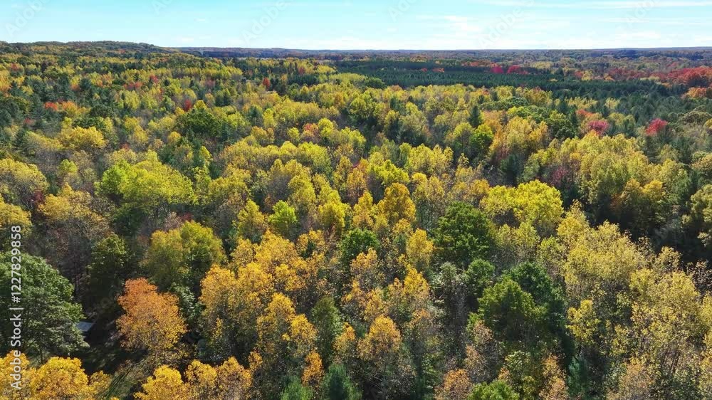 Beautiful Michigan fall colors captured from an aerial view moving forward slowly. Beautiful Michigan fall colors captured from an aerial view moving forward slowly.