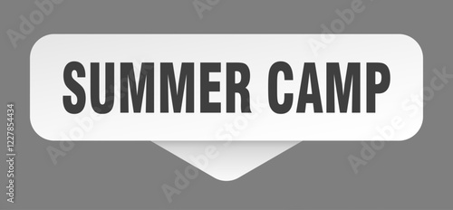 summer camp sticker. summer camp sign isolated on gray background