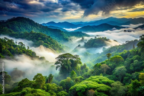 Ecuadorian Andes: Aerial Double Exposure of Foggy Tropical Forest and Mountain Peaks