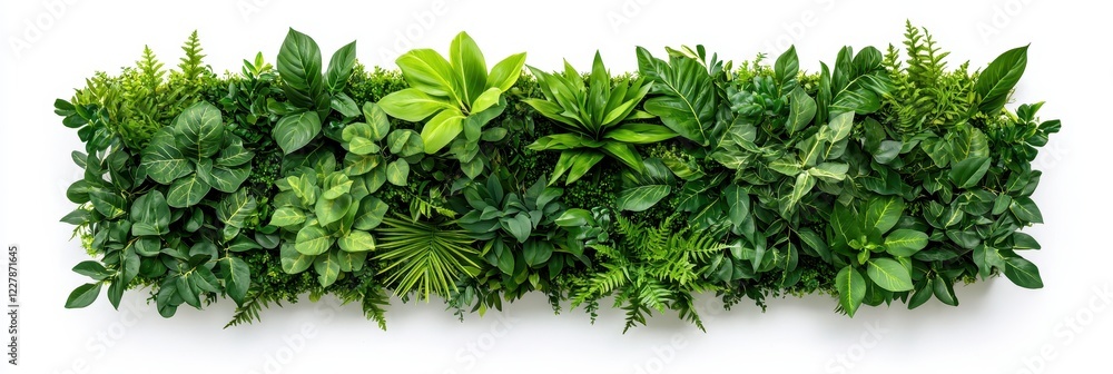 Naklejka premium Lush green plant arrangement indoor space botanical display vibrant environment top-down view nature concept