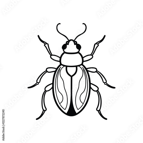 beetle